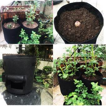 Plant Grow Bags home garden Potato pot greenhouse Vegetable Growing Bags Moisturizing jardin Vertical Garden Bag tools