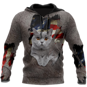 Cat Lover American British Shorthair Cute Cat 3D Printed Hoodie