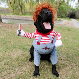 Pet Dog Costume