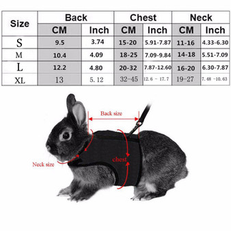 Rabbit Harness and Leash (Best Selling)