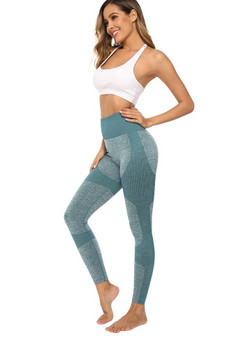 Women Seamless Elastic Tight High Waist Yoga Leggings