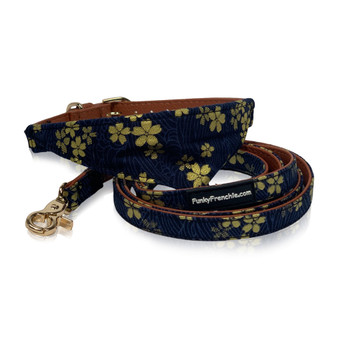 Golden Night Collection French Bulldog Bandana Blue and Golden Dog Collar