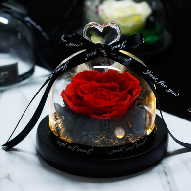 Mother Day Present The Beauty and Beast Rose Valentines Day Gift Eternal Rose With Night Light in Glass Dome  Birthday Gift