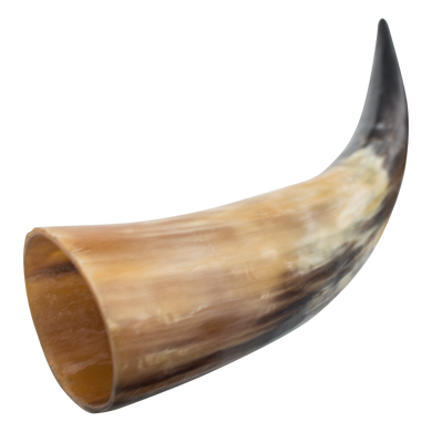 Medieval Animal Drinking Horn (Real Animal Horn)