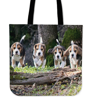 Bunch of Beagles