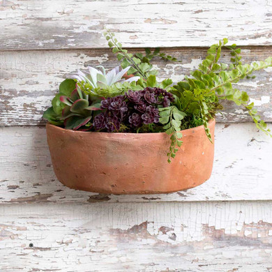 Medium Terra Cotta Wall Planter