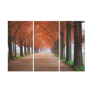 Autumn Park Fooliage Path Canvas Wall Art 3 Pieces Framed Wall Pictures Autumn Park Fooliage Path Canvas Wall Art 3 Pieces Framed Wall Pictures