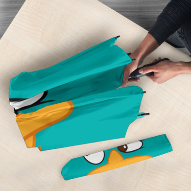 Perry Umbrella