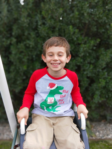 Deck the Halls Dinosaur Boys Christmas Red Raglan Shirt