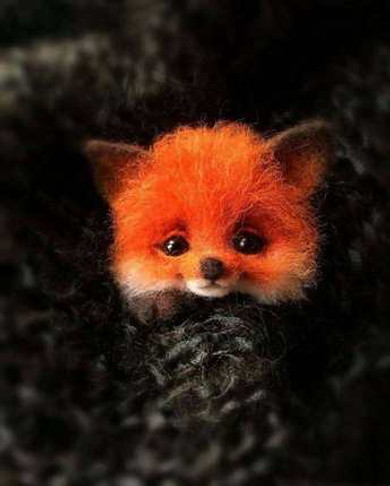 Pocket Animal Pet Doll Toy