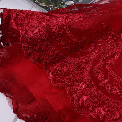 Girl Baby Girl Christmas Lace Dress