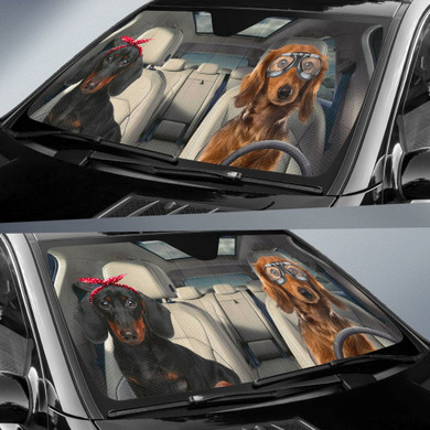 daschun auto Auto Car Sun Shade Windshield