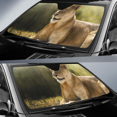 Lioness African Lion Wild Auto Car Sun Shade Windshield