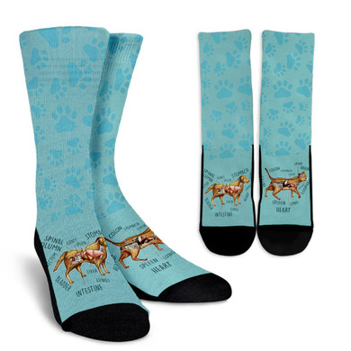 Veterinary Diagram Socks