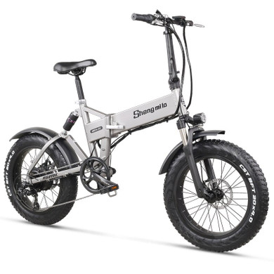 Ebike Electric bike 500W electric fat bike beach bike cruiser electric bicycle 48v12.8ah lithium battery  electric mountain bike (MX21-Gray)