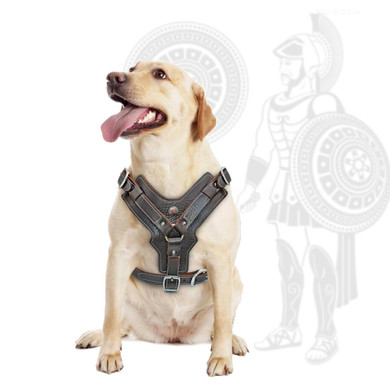 Genuine Leather Dog Harness Durable Large Dog Harness