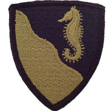 36th Engineer Group MultiCam (OCP) Patch