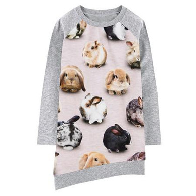 girls dress Long sleeve Girl clothing The rabbit Fashion Kids Baby Dresses bibs Print Children Dress Designer Kids baby dress