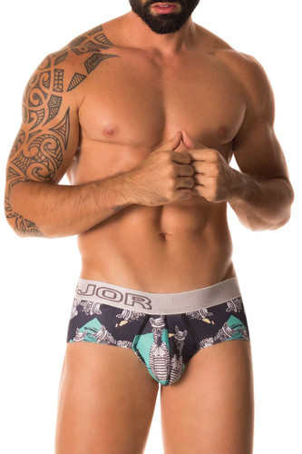 Jor Zebra Brief