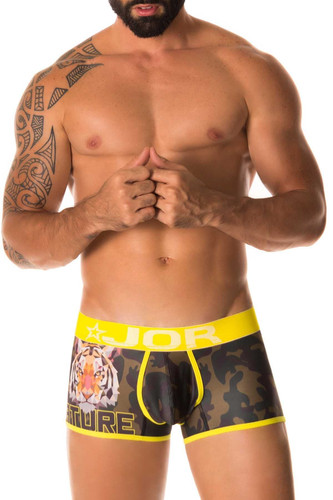 Jor Tiger Boxer