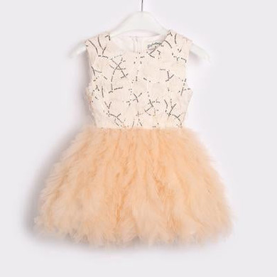 Baby Girl Tutu Dress costume for Kids Sleeveless Christening tulle Sequined Wedding party Princess Dresses Toddler Girls Clothes