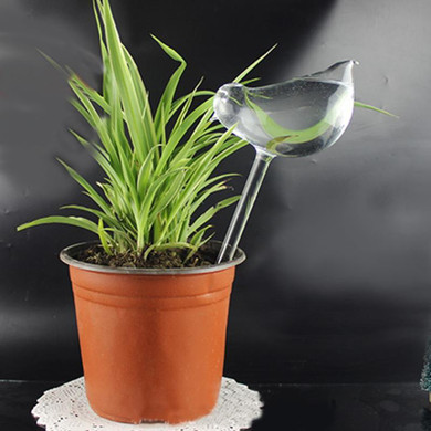 AsyPets Self Watering Globe Plant Water Bulbs Bird Shape Clear Glass Watering Device-30
