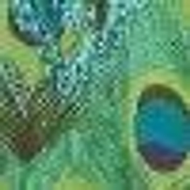 Royal Peacock Tunic