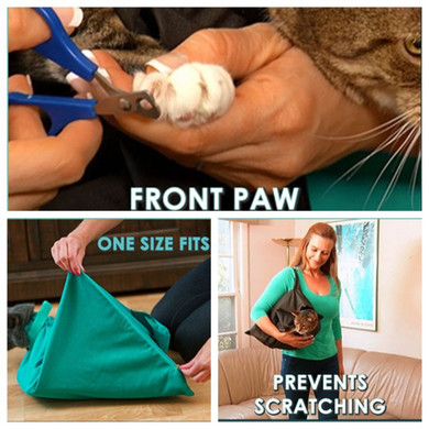 Pet Outdoor Cat Dog Backpack Out Foldable Carrier
