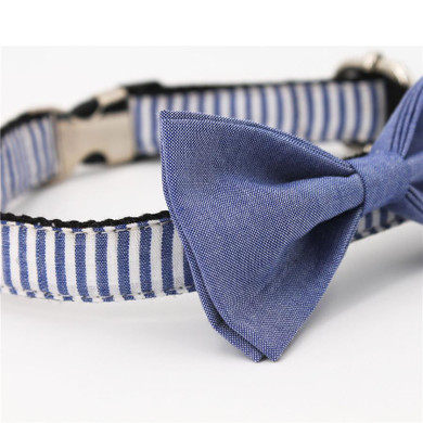 The Marlin Collar and Leash Set