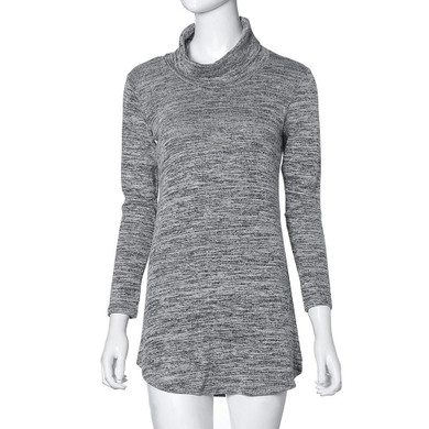 Feitong Women Sweater Dress 2017 Winter Casual Long Sleeve Loose Knitted Jumper Pullover Turtleneck Warm Sweater Dress Plus Size Feitong Women Sweater Dress 2017 Winter Casual Long Sleeve Loose Knitted Jumper Pullover Turtleneck Warm Sweater Dress Plus Size