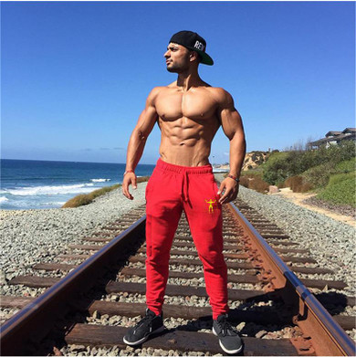 2017 New High Quality Trousers Jogger skinny Men Pants Fitness Bodybuilding Pants For Mens Brand Clothing Sweat Trousers Britche