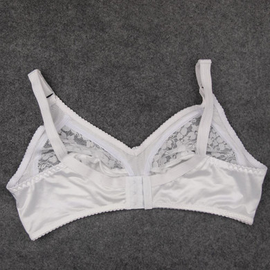 Comfort Lace Bra Intimates Embroider Lingerie see-through Plus size bralette Big Size Sexy Bras 36 38 40 42 44 B C D DD Cup