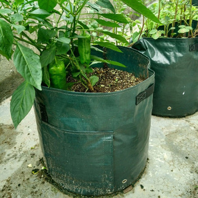 Sonem- Potato Growing Pouch