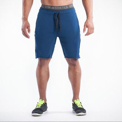 AYLOCO New Brand High Quality Men shorts Bodybuilding Fitness Gasp Gyms Aesthetics basketballRunning workout jogger shorts