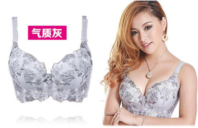 2016 Hot Fashion Women Sexy Bra Underwear 32-38 A-D Lace Push Up Deep V Bra Women Embroidery Plus Size Bra Women Sexy Bra