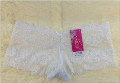 2016 New arrival women's sexy lace panties seamless panty briefs underwear free shipping