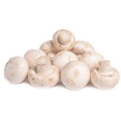 Big Sale 100 Pcs Delicious White Mushroom Seeds Green Vegetables Bonsai Seeds Very Easy To Grow For Home