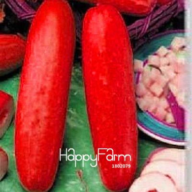 Big Promotion!Dutch Cucumber,Cucumber Seeds Fruits and Vegetable Seed 50 Pieces / Bag,#OI4EB0