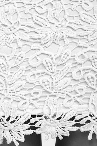 Chicnico Duplicate Open Back Lace Mini Dress