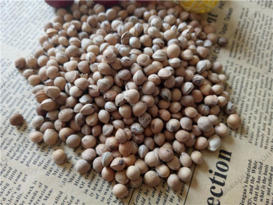 Cherry Seeds Rare organic edible fruit big red cherry seeds Bonsai Tree Sweet cherry tree Seeds for Home Garden10pcs/bag