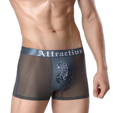 Chenke Men Underwear Boxers Scorpion Printing Mesh Breathable Angle Underwear Spandex Sexy Gay Man Boxer Shorts Underwear