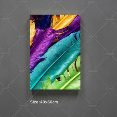 Feather Still Life Canvas Oil Painting Cuadros Home Decoration Wall Art Pictures Painting For Living Room Prints Unframed PR199
