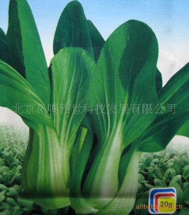 Don waist organic vegetable vegetable seed Hot 100seed
