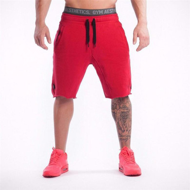 New Brand High Quality Men shorts Bodybuilding Fitness Gasp Gyms Aesthetics basketballRunning workout jogger shorts golds