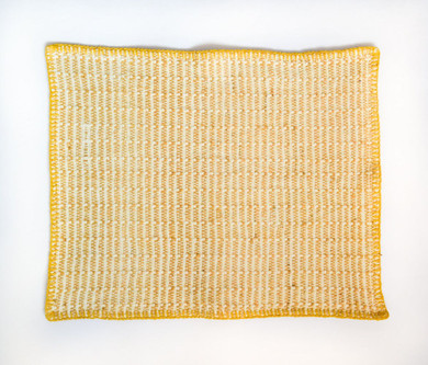 Embroidered  Pitaya Yellow Placemat  (Set of 6)