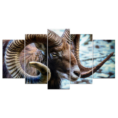 5 Pieces Wall Art Picture Goat Home Decoration Canvas Print Painting Beautiful Living Room Printed