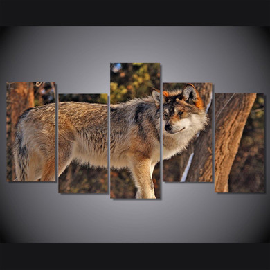 HD Printed 5 Piece Canvas Art Brown Wild Wolf  Painting Wall Pictures Living Room Decoration