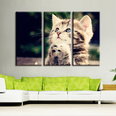 HD Printed Modern Painting Wall Art Canvas 3 Panel Animal Cat Pictures Living Room Modular