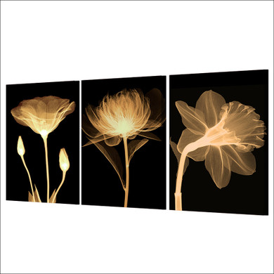 HD Print 3 Piece Canvas Art Transparent Flower Black Painting Wall Picture For Living Room Wall Art