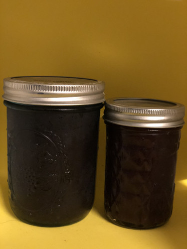 Elderberry Sea Moss Gel 100% Natural